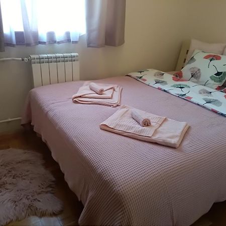 Apartman Nina Vojvode Stepe Vozdovac Voždivac Εξωτερικό φωτογραφία