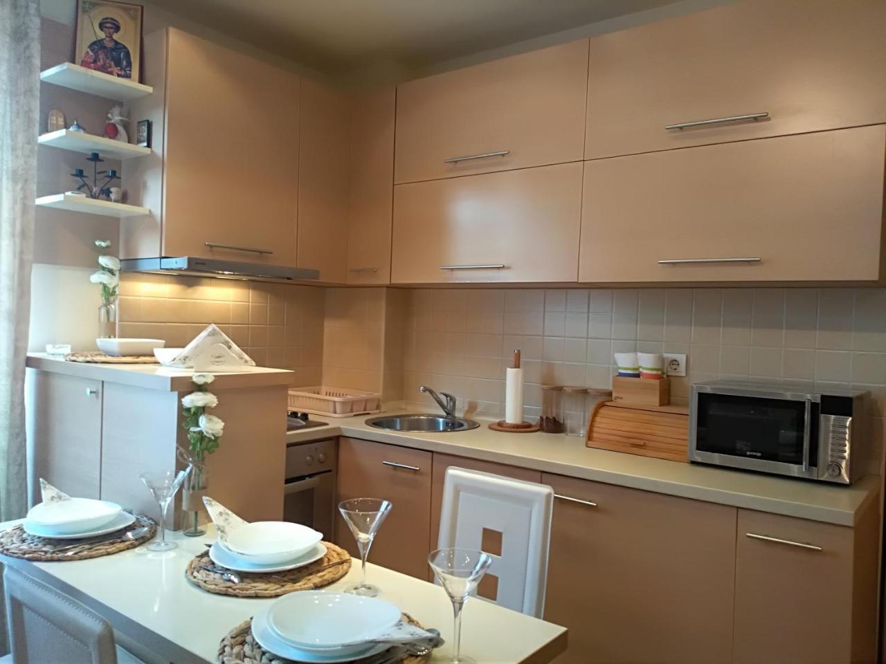 Apartman Nina Vojvode Stepe Vozdovac Voždivac Εξωτερικό φωτογραφία